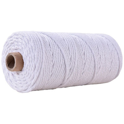Xanh 3 sợi dây nylon xoắn 3mm Macrame đan dây bông