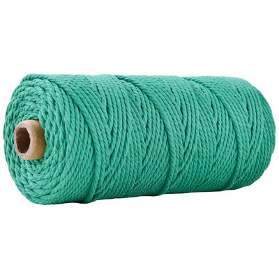 Xanh 3 sợi dây nylon xoắn 3mm Macrame đan dây bông