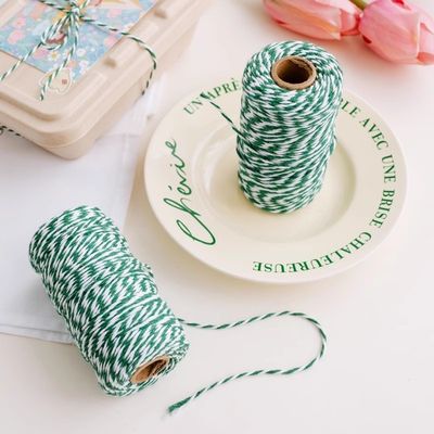 DIY 2 sợi dây xoắn 550 pound 2mm Cotton Macrame Cord