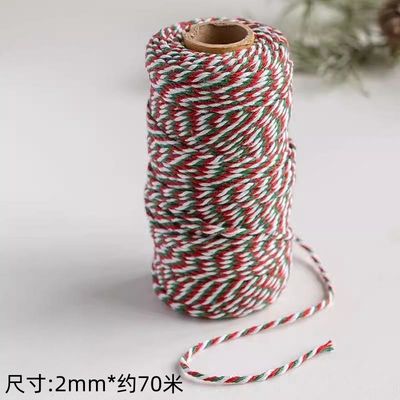 DIY 2 sợi dây xoắn 550 pound 2mm Cotton Macrame Cord
