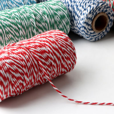 DIY 2 sợi dây xoắn 550 pound 2mm Cotton Macrame Cord