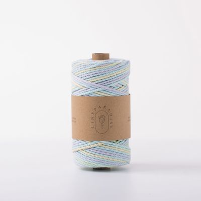 ISO9001 Sợi dây bông đan râu rắn màu sắc 3mm dây Macrame xoắn