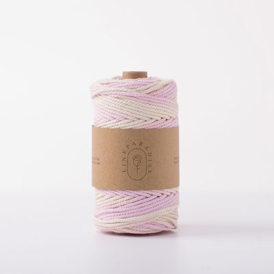 ISO9001 Sợi dây bông đan râu rắn màu sắc 3mm dây Macrame xoắn