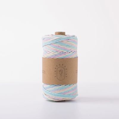 ISO9001 Sợi dây bông đan râu rắn màu sắc 3mm dây Macrame xoắn