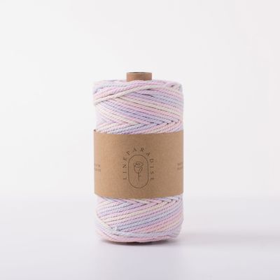 ISO9001 Sợi dây bông đan râu rắn màu sắc 3mm dây Macrame xoắn