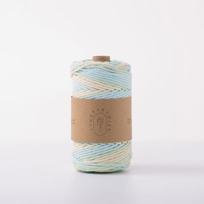 ISO9001 Sợi dây bông đan râu rắn màu sắc 3mm dây Macrame xoắn