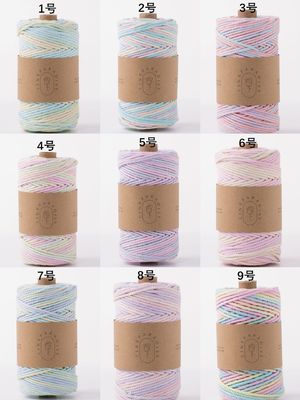 ISO9001 Sợi dây bông đan râu rắn màu sắc 3mm dây Macrame xoắn