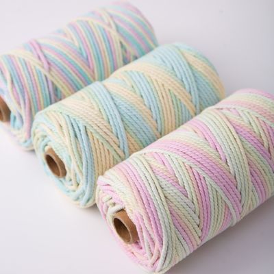 ISO9001 Sợi dây bông đan râu rắn màu sắc 3mm dây Macrame xoắn