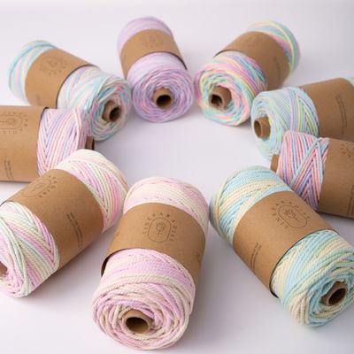 ISO9001 Sợi dây bông đan râu rắn màu sắc 3mm dây Macrame xoắn