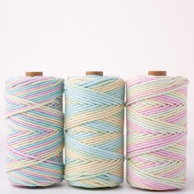 ISO9001 Sợi dây bông đan râu rắn màu sắc 3mm dây Macrame xoắn