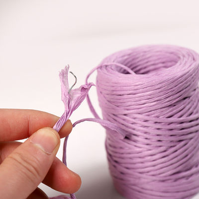 Sợi dây sắt 2mm dây giấy Eco DIY dây giấy xoắn Biodegradable